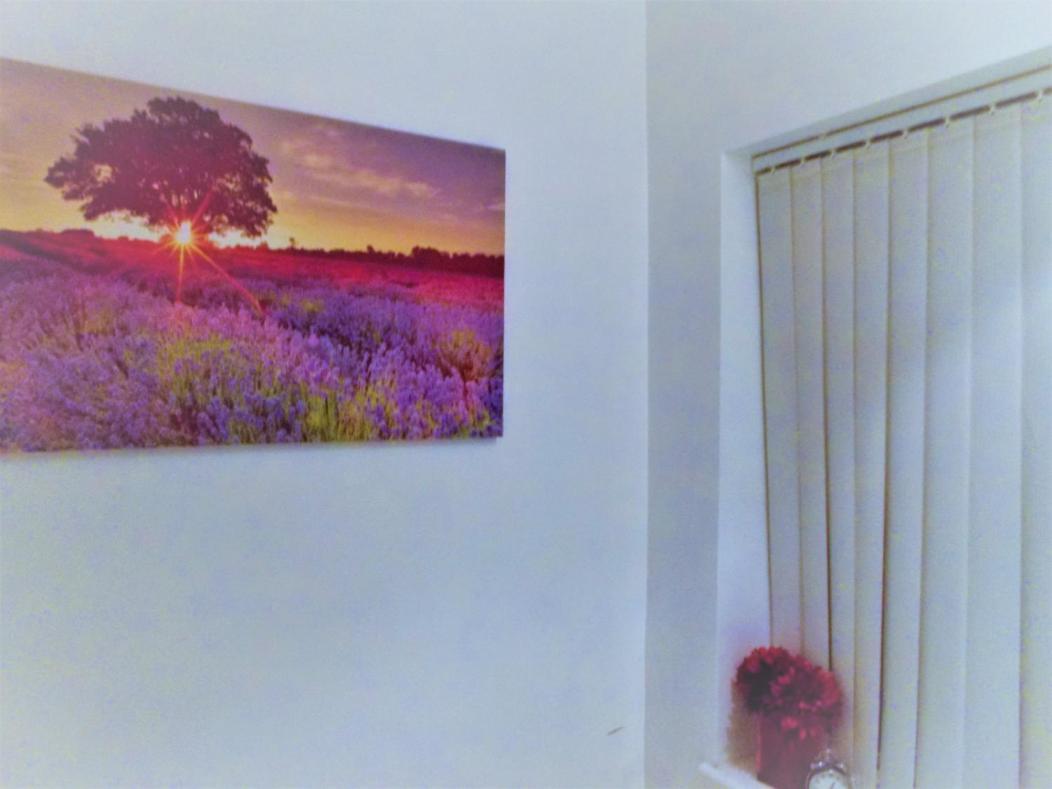 Lovely House ロンドン エクステリア 写真